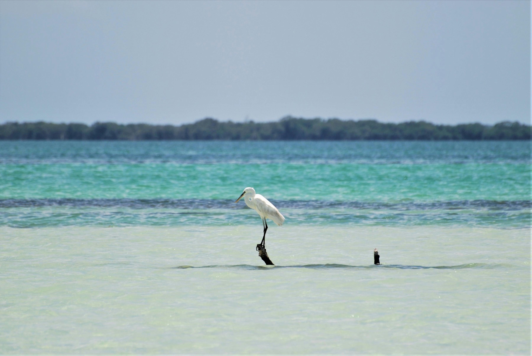 Holbox